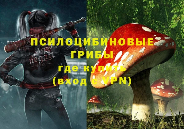 стафф Елабуга