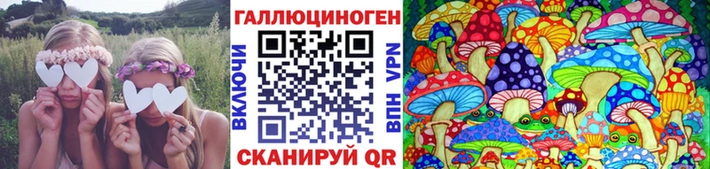 купить  цена  Инсар  Галлюциногенные грибы мухоморы 